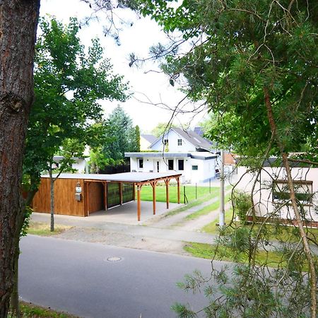 Tätzschwitz Haus Kleiner Findling Im Lausitzer Seenland מראה חיצוני תמונה